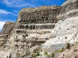 M Cape Kidnappers 004